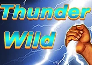 Thunder Wild game thumbnail